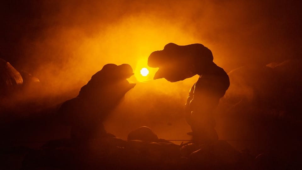 Critical Corner: ANITO